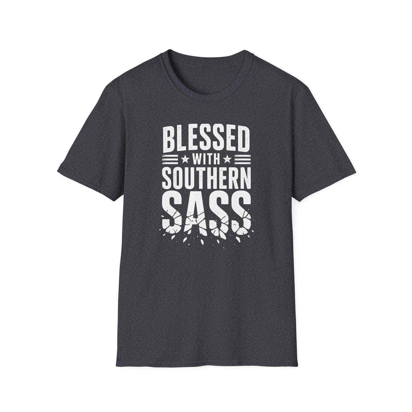 Blessed With Southern Sass T-Shirt