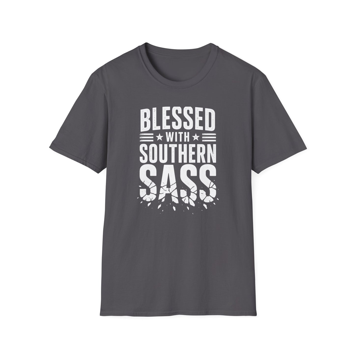 Blessed With Southern Sass T-Shirt