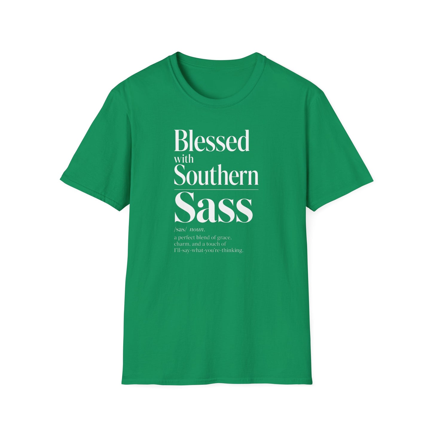 Blessed With Southern Sass Definition T-Shirt