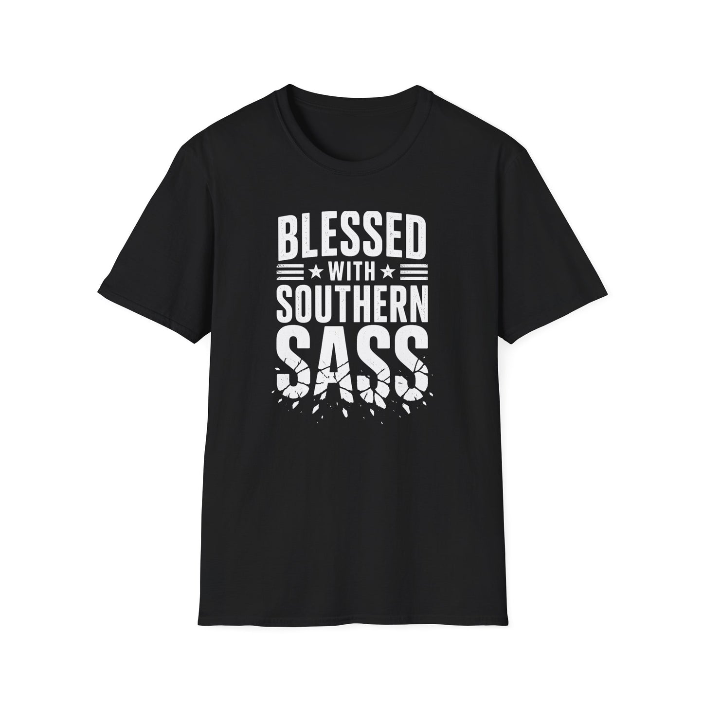 Blessed With Southern Sass T-Shirt